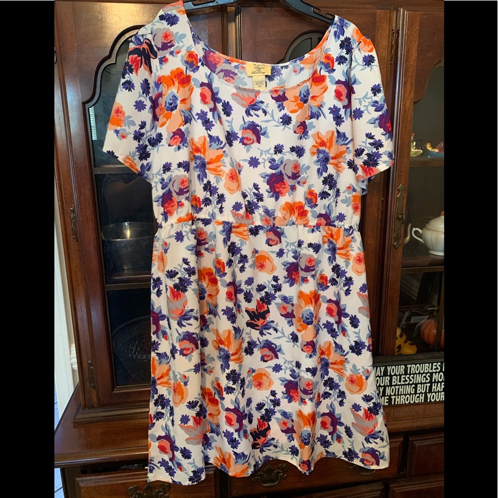 Stevie and Lindsay Women's 3X Dress Floral White & Blue
